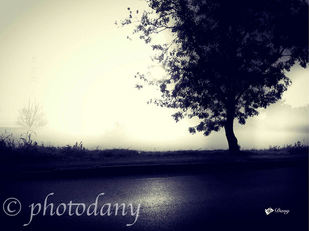 Landscapes – fotografia 8